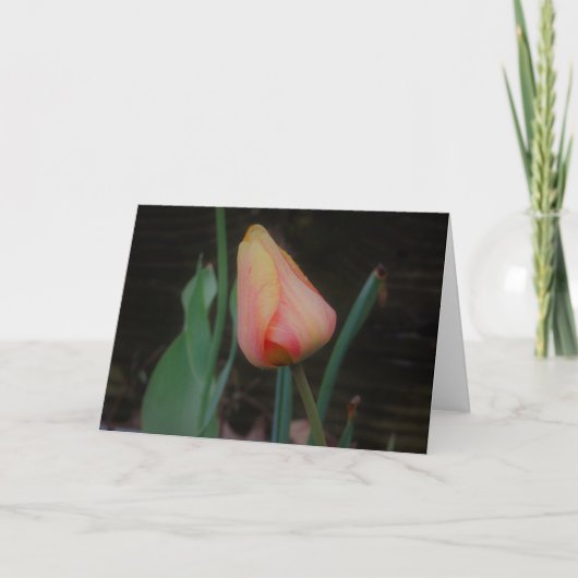 Enkele Tulp Notitiekaart (Voorkant)