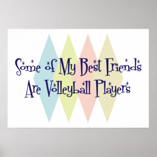 Enkele van mijn beste vrienden zijn Volleybalspele Poster