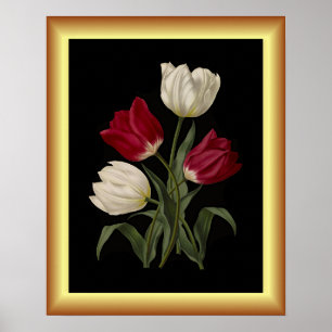 Enkele vroege Tulpen ~ Botanische Art-afdrukken ~ Poster