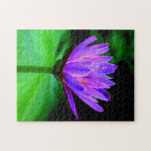 enkele waterLily Legpuzzel (Horizontaal)