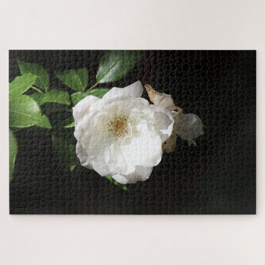 Enkele Witte Bloem Legpuzzel (Horizontaal)