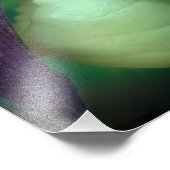 Enkele Witte Dame Slipper Orchidee Bloem 8x8 Foto Afdruk (Hoek)