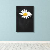 Enkele witte en gele Daisy Flower op zwart Canvas Afdruk (Insitu (Houten vloer))