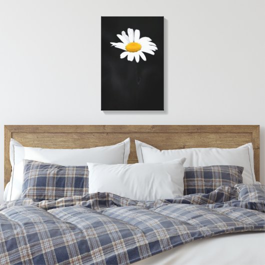 Enkele witte en gele Daisy Flower op zwart Canvas Afdruk (Insitu (Slaapkamer))