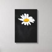 Enkele witte en gele Daisy Flower op zwart Canvas Afdruk (Voorkant)