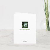 ENKELE WITTE IRIS MET REGENDRUPPELS KAART (Achterkant)