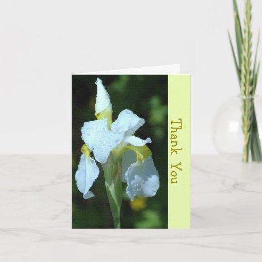 ENKELE WITTE IRIS MET REGENDRUPPELS KAART (Voorkant)
