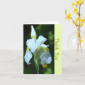 ENKELE WITTE IRIS MET REGENDRUPPELS KAART (Gele Bloem)