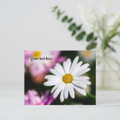 Enkele Witte Madelief Ansichtkaart Briefkaart (Staand voorkant)