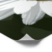 Enkele Witte Madelief Poster (Hoek)
