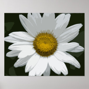 Enkele Witte Madelief Poster