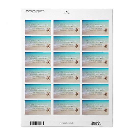 Enkele Zeester Brede Strand Scene Adreslabels Etiket (Full Sheet)