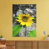 enkele zonnebloem canvas print (Insitu (Woonkamer))