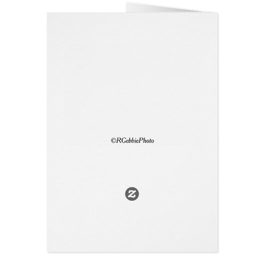 Enkelgele Narcissus Daffodil (Achterkant)