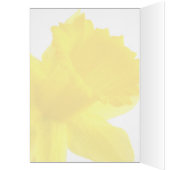Enkelgele Narcissus Daffodil (Binnen (Links))
