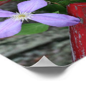 Enkellavendel Clematis Flower Abstract Poster (Hoek)