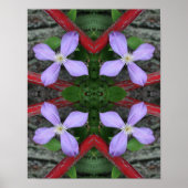 Enkellavendel Clematis Flower Abstract Poster (Voorkant)