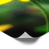 Enkelnegroogige Susan Daisy Flower Poster (Hoek)