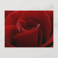 Enkelrood Briefkaart