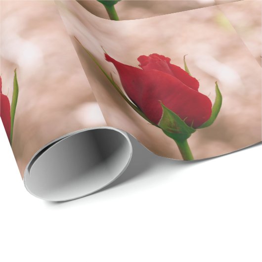 Enkelroze Cadeaupapier (Rol Hoek)