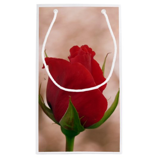 Enkelroze Klein Cadeauzakje (Achterkant)