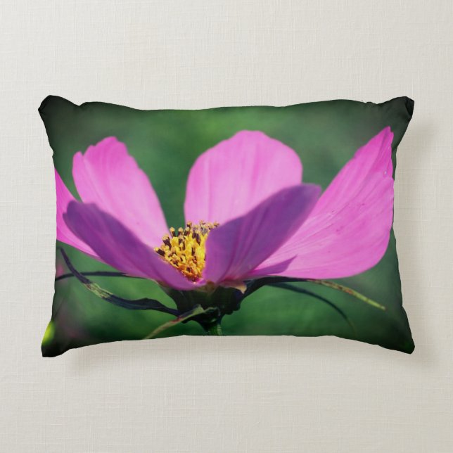 Enkelroze kosmos stroomt in bloom accent kussen (Voorkant)