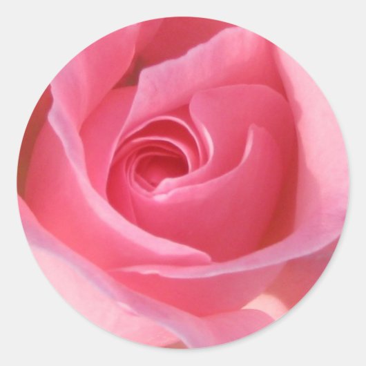 Enkelroze roze ronde sticker (Voorkant)