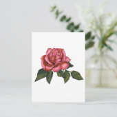 Enkelroze roze: Tekening kleurpotlood: Kunst Briefkaart (Staand voorkant)