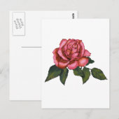 Enkelroze roze: Tekening kleurpotlood: Kunst Briefkaart (Voorkant / Achterkant)