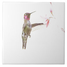 Enkelvogel en enkele bloem