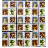 Enkelvoudig kleurenafdrukken Showgordijn Douchegordijn (Voorkant)