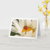 Enkelvoudig Ladybug gevouwen blanco Wenskaart Kaart (Gele Bloem)