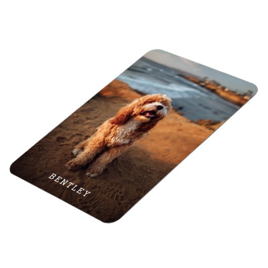 Enkelvoudig Modern Full Photo Dog Pet | White Magneet (Linkerzijde)