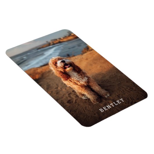 Enkelvoudig Modern Full Photo Dog Pet | White Magneet (Rechterzijde)