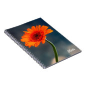 Enkelvoudig Oranje Gerbera Spiral notitieboek (Rechterzijde)