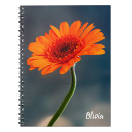 Enkelvoudig Oranje Gerbera Spiral notitieboek