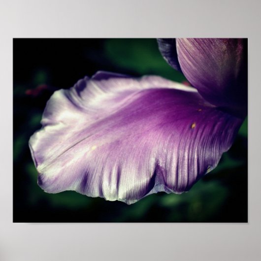 Enkelvoudig Paars ventilatorventiel Sluiten Poster (Voorkant)