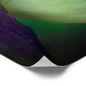 Enkelvoudig wit draagster, orchidee, dicht bij poster (Hoek)