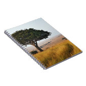 Enkelvoudige acacia-boom op grijze vlakten, Masai  Notitieboek (Rechterzijde)