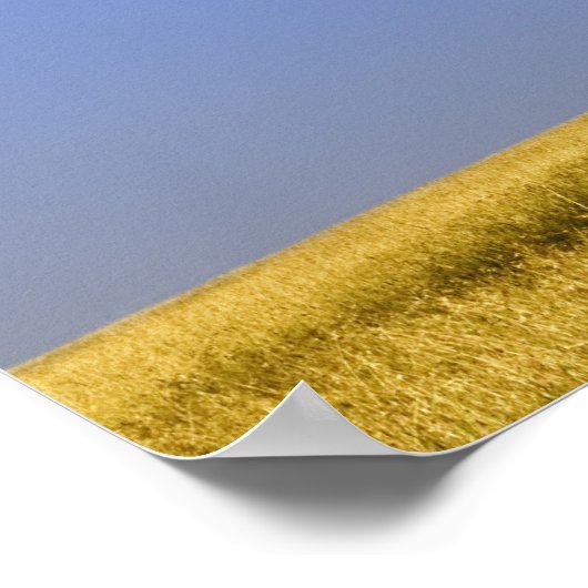 Enkelvoudige acia-boom op grijze vlakten, Masai Ma Poster (Hoek)