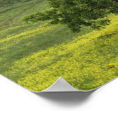 Enkelvoudige boerderij in de landbouw, Toscane Poster (Hoek)