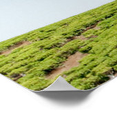 Enkelvoudige boom in theeplantages poster (Hoek)