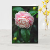 Enkelvoudige camelia bloei kaart (Gele Bloem)