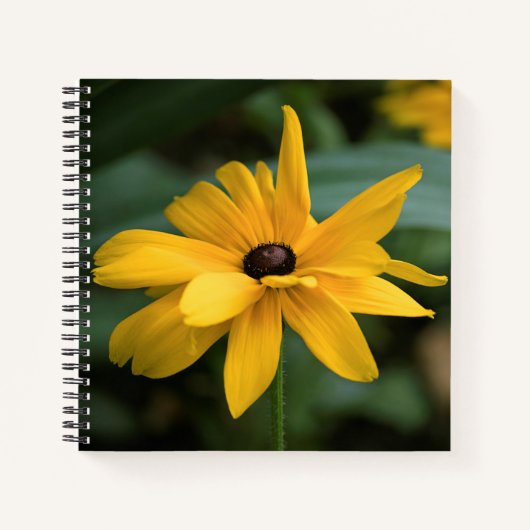 Enkelvoudige gele rudbeckia bloem notitieboek (Voorkant)