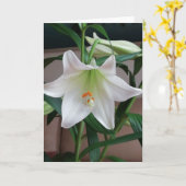 Enkelvoudige lelie. kaart (Gele Bloem)