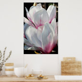 Enkelvoudige Magnolia Flower Poster (Keuken)
