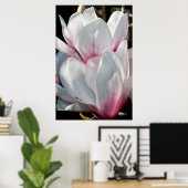 Enkelvoudige Magnolia Flower Poster (Thuiskantoor)