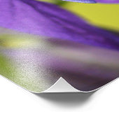 Enkelvoudige Paarse Columbineventilator Foto Afdruk (Hoek)