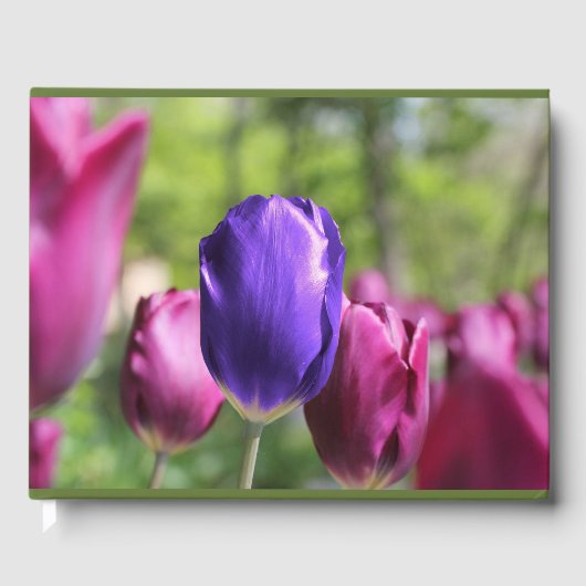 Enkelvoudige Paarse Tulp Gastenboek (Voorkant)
