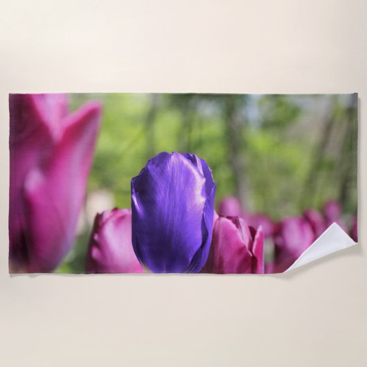 Enkelvoudige Paarse Tulp Strandlaken (Voorkant)